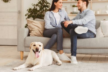 - Boş zaman. Genç ve sevgi dolu bir aile koltukta oturup konuşuyor, mutlu labrador yerde yatıyor, geçmişi bulanık.