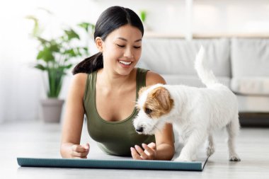 Pofuduk köpek yavrusu sahibi Asyalı kadınla egzersiz yapıyor oturma odasında yoga minderinde uzanan ve şirin Jack Russel terrier 'ini okşayan, yakın plan, uzay fotokopisi çeken çekici bir kadın.