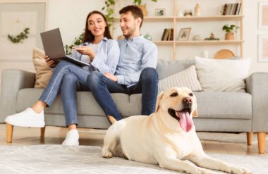 Halıda yatan mutlu Labrador Retriever 'ın portresi bulanık arka planda dizüstü bilgisayar kullanan beyaz bir çift.