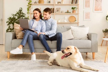 - Boş zaman. Genç, sevgi dolu bir aile kanepede oturuyor, dizüstü bilgisayar kullanıyor, yerde yatan mutlu labrador, boşluğu kopyalıyor.