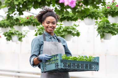 Bitkiler ve bahçıvan. Gülümseyen Afro-Amerikalı eldivenli ve önlüklü kız çiçekleri ve sera arka planında fideleri olan bir kutu taşıyor.