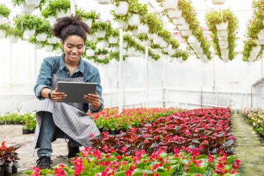 Endüstriyel sera. Gülümseyen Afro-Amerikan kız akıllı saati ile tablet üzerinde yazıyor çiçeklerin rengarenk ekiminde, boş alanda