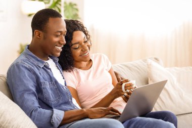 Mutlu siyah çift evde dizüstü bilgisayar kullanıyor, seyahat etmek için yeni bir yer arıyor, uzayı kopyalıyor. Afrika kökenli Amerikalı kadın ve erkek birbirine aşık. Oturma odasında kanepede oturmuş çay içiyor ve internette sörf yapıyorlar.