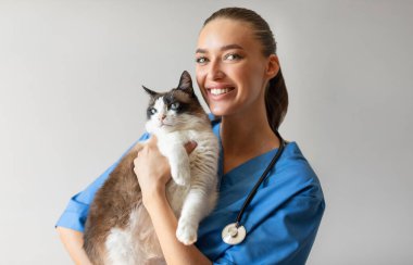 Kedi tutan mutlu veteriner doktor portresi, Gri Stüdyo geçmişi olan sağlıklı bir hasta ile poz veren, kameraya gülümseyen. Hayvan Sağlığı ve Rutin Kontrol Konsepti