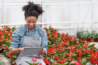 Akıllı sera kontrolü. Afrika kökenli Amerikalı kadın işçiler kırmızı çiçekleri denetliyor ve gündüz vakti tabletlere veri giriyorlar.