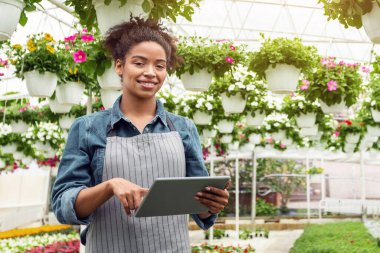 Modern akıllı çiçek serası. Gülümseyen Afrikalı Amerikalı kadın gün ışığında serada dijital tablete bakıyor, tarlaların yanında, saksılarda çiçekler, panorama, boş alan