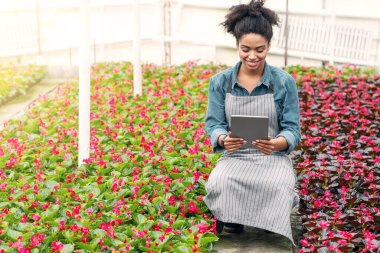 Çiçekler ve teknoloji. Önlüklü, gülümseyen Afrikalı Amerikalı kız seradaki tablete bakıyor, güneş parlıyor, boş alan var.