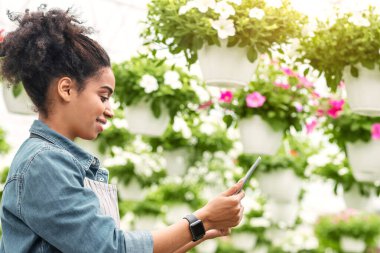 Tavandan sarkan saksılarda çiçekler. Kot gömlekli, akıllı saati olan gülümseyen Afro-Amerikalı kız, eko blogu için akıllı telefonda yazı yazıyor.