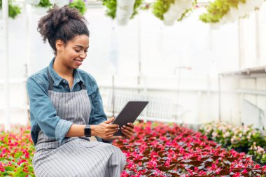Mühendis santralleri test edip verileri tabletle analiz ediyor. Gülümseyen Afrikalı Amerikalı kız serada tablete bakıyor, çiçek tarlasının yanında, güneş parlıyor, boş alan var.
