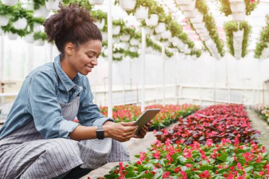Akıllı teknoloji hidroponiği ve serada çalışmak. Önlüklü gülümseyen Afrikalı Amerikalı kız ve tabletli akıllı saat çiçeklerin yanında duruyor.