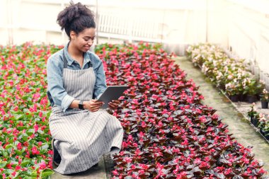 Çiftlikte ve çiçek bahçesinde çalış. Önlüklü mutlu Afrikalı Amerikalı kız seranın işlerini kontrol ediyor ve tarlalara, boş alanlara bakıyor.