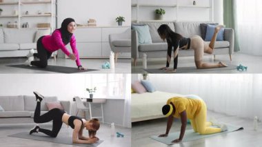 Çeşitli bireylerden oluşan bir grup, kapalı bir alanda çeşitli atletik egzersizlere katılır. Farklı fitness aktiviteleri sergiliyorlar, sağlıklı bir yaşam tarzı ve ev egzersizleri tanıtıyorlar..