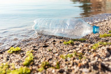 Plaj kirliliği. Tek Kullanılan Plastik Şişe Deniz Suyunda Yüzüyor Dışarıdaki Deniz Kıyısı 'na yakın. Ekolojik Arkaplan, Boş Alan