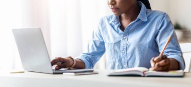 Bilgisayarda çalışan ve modern ofiste notlar alan kendinden emin Afrikalı kadın girişimci bilgisayar ekranına, boş alana bakıyor.