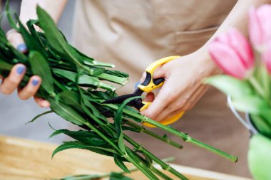 Çiçekçide yaratıcı tasarımcı, küçük işletme sahibi açık havada çalışıyor. Bin yıllık önlüklü kadın buket yapar, müşteriler için lale yapar, bitki stüdyolarının arka planında, kırpılmış, kapatılmış.