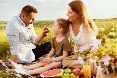 Yaz zamanı. Heyecanlı bir babanın küçük çocuğunu çilekle beslemesi, ailesinin kırsal kesimde battaniyede oturması.