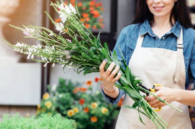 İyi bir iş kadını, satıcı yeni bir düzen kuruyor, hediye tasarımcısı masada, hobi ve çiçekçide yaratıcı işler yapıyor. Önlüklü gülümseyen genç bir kadın tezgahın arkasındaki buket için çiçekleri buduyor.
