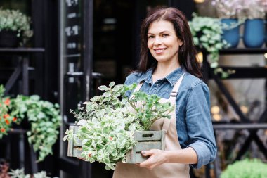Modern çiçek stüdyosunda bahçıvan, tasarımcı ve satıcı işi. Neşeli bin yıllık güzel bir kadın önlüklü bir kutu tutuyor. Dükkan arka planında kırsal dekor unsurları olan bitkiler var. Uzayın kopyası.