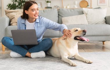 İçişleri Bakanlığı. Oturma odasında dizüstü bilgisayar kullanarak oturan, köpeğini okşayan serbest çalışan neşeli bir kadın.