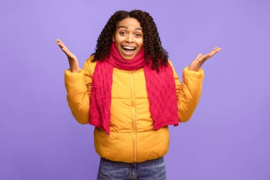 Heyecanlı Afrikalı Amerikalı kadın sürpriz jest yaparken kameraya bakıyor elleri mavi stüdyonun arkasında duruyor, kışlık ceket giyiyor. Omg, Şaşırmış Kadın Duygusallığı