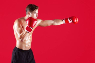 Profesyonel genç boksörün kırmızı stüdyo arka planına yumruk atması. Dövüş sırasında çıplak gövdeli kaslı kickboksör, tam boy portre