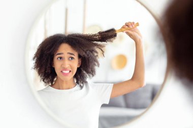 Saç stili problemi ve karışık kıvırcık saçlar. Bin yıllık üzgün Afrikalı Amerikalı kadın hasarlı sorunlardan tarak çekiyor saçlar ve duvardaki yuvarlak aynadaki yansımaya bakıyor, boşluğu kopyalıyor.