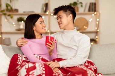 Kış Aşkı. Koreli çiftin kucaklaşması sıcak kahve içmesi kapalı bir oturma odasında battaniyeyle oturması. Asyalı bir çift Noel arifesini evde kutluyor.
