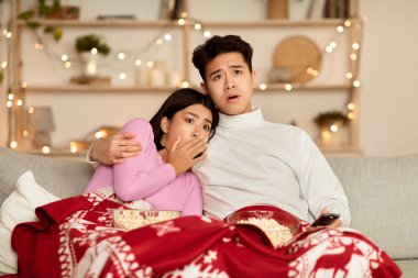 Asyalı Aile TV izliyor ve korkunç filmler izliyor. Noel arifesini evde, oturma odasında, battaniyeyle kaplı bir şekilde oturarak geçiriyorlar. Noel ve Yeni Yıl Tatillerinde Korku İzleyen Çiftler