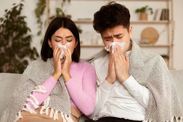 Hasta Japon eşler hapşırıyor, burunlarını kağıt peçeteye sümkürerek evdeki koltuğa oturuyor. Asyalı bir çift kendini izole ediyor. Mevsimsel Grip, Alerji, Sinüzit ve Rhinitis Hastalığı.