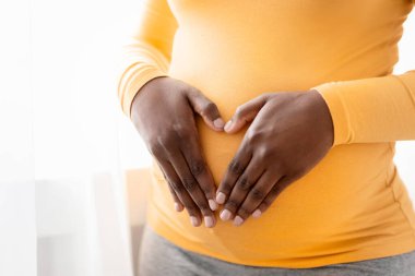 Koca göbeğinde avuç içi şeklinde avuçlar tutan hamile bir zenci kadın. Boş alanı olan bir panorama. Tanımlanamayan Afro-Amerikalı bir bayan pencerenin önünde bekliyor. Hamilelik konsepti