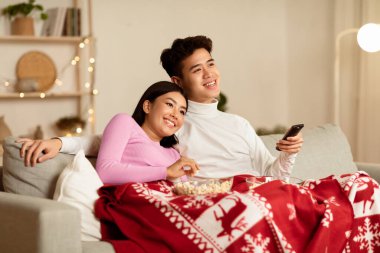 Mutlu Çinli çiftler Noel arifesinde televizyon izleyip Noel 'i kutluyor ve evdeki koltukta oturup aile filmlerinin tadını çıkarıyor. Yeni Yıl Tatil Kutlaması Konsepti