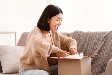 Hızlı Teslimat Servisi Konsepti. Mutlu Asyalı kadın paketini aldı, karton kutuları açtı, evdeki kanepede oturdu, fotokopi çekti. Kadın alıcı çevrimiçi alışveriş alışverişinden memnun