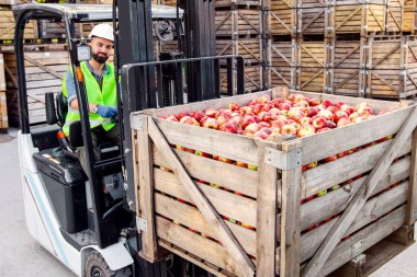 Dağıtım, satış, üretim, depoda tarım sektörü. Kasklı mutlu erkek sürücü forklift kamyonunda kırmızı elmaları kaldırıyor raflarda, tahta kasalarda, boş alanlarda.