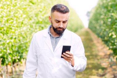 Çalışma ve teftiş için modern cihazlar, tarımcı ve bahçe kontrolü için uygulama. Beyaz önlüklü ciddi genç sakallı adam organik çiftlikte, yeşil yapraklı arka planda, boş alanda akıllı telefona bakıyor.