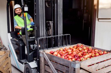 Forklift sürücüsü depoda, meyve yüklüyor. Kasklı ve üniformalı neşeli bir adam forklift aracında kırmızı elmalarla dolu ahşap bir konteynırı kaldırıyor, kapalı alanda, deponun arka planında, kopyalama alanında