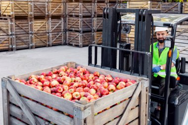 Forklift meyve, sürücü işi, olgun, kırmızı, taze, lezzetli elmaları kabın içinde taşır. Milenyum sakallı dost canlısı bir adam, kamyon sürüyor, malları kaldırıyor, arka planda bir sürü tahta sandık var.