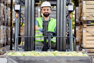 Depo, eko elması iş konsepti üzerinde çalışmak. Kasklı gülümseyen milenyum sakallı adam forklift kullanıyor raflarda yeşil meyveler olan kutuları kaldırıyor, arka planda tahta kasalar, kopyalama alanı var.