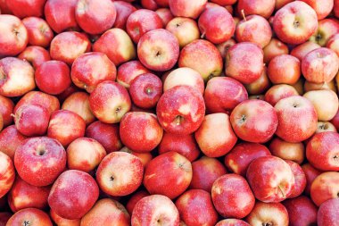 Eko tarım, iş. Endüstri, tarım sektörü ve mükemmel organik meyve hasadı. Çiftlikte, depoda ya da dükkanda, dışarıda, fotokopi alanında, yakın mesafede, desende...