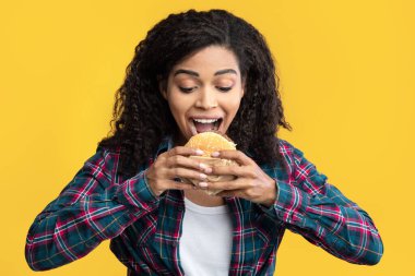 Abur cubur. Komik, Aç Afro-Amerikalı Burger Yiyen Kadın portresi. Kıvırcık saçlı ve lezzetli sandviçten ısırılan siyah kadın, turuncu stüdyonun arka planında izole edilmiş, afiş.