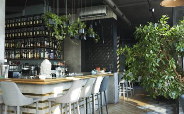 Kafenin içinde bar taburesi ve yeşil bitkiler olan uzun ahşap tezgah, boşluğu kopyala