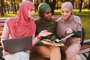 Bir grup modern Müslüman öğrenci, dışarıda sıralarda oturmuş kitap okumayı öğreniyor. İslam Kadınları Üniversite Kampüsü Parkı 'nda Dizüstü bilgisayarla Bir Şey Tartışıyor