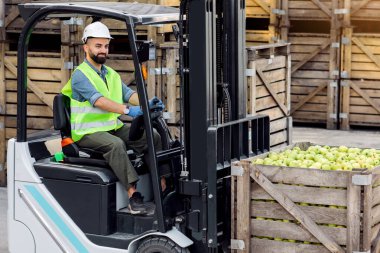 Nakliye, organik ürünlerin satılması ve üretilmesi için depoda çalışıyor. Milenyum sakallı erkek sabit şapka sürücüleri forklift kamyonu meyve kaldırıyor, bir çok tahta kasada, boş alanda.