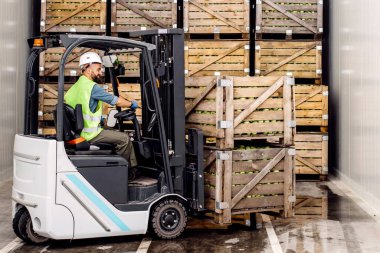 Modern depo, forklift, endüstriyel ve organik tarım işlerinde çalışmak. Forklift takmış gülümseyen milenyum adamı raflardaki yeşil elmaları kaldırır ve bir sürü ahşap sandık ve boş alan bırakır.