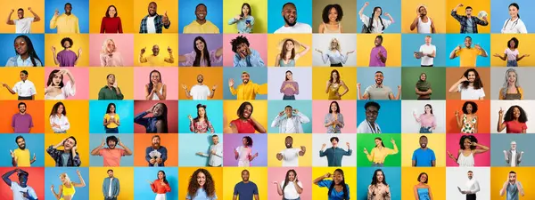 Bir portre koleksiyonu, çeşitli duygulara sahip farklı bireylerin parlak, renkli arka planlara karşı sergilediği çeşitliliğe sahiptir..