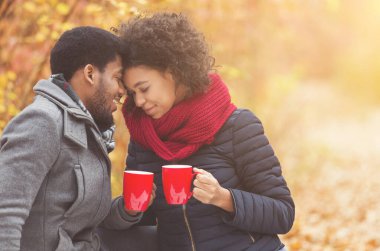 Sonbahar pikniği. Nazik bir çift çay içiyor, parkta vakit geçiriyor, fotokopi çekiyor.