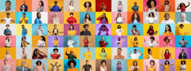 Portrelerden oluşan canlı bir kolaj çeşitli yaşam tarzlarını temsil eden farklı bireylerden oluşan bir grup sunar.