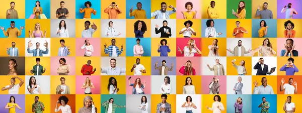 Çeşitli yaşam tarzları ve ifadeleri gösteren çeşitli yüzlerden oluşan bir koleksiyon. Her portre renkli arka planlara karşı çok ırklı arka planların güzelliğini vurgular.