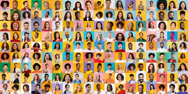 Canlı bir kolajda çeşitli geçmişlerden gelen farklı bireylerin portreleri yer alıyor. Her yüz, modern hayattaki çeşitliliğin özünü yansıtan eşsiz bir hikayeyi ve yaşam tarzını yansıtır..