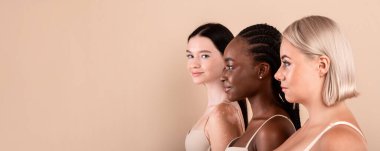 Üç Güzel Irklar Arası Kadın 'ın Yan Görünümü. Bej rengi stüdyo arka planında ayakta duran iç çamaşırı giyen, farklı ten tiplerine sahip genç çekici kadınlar grubu.