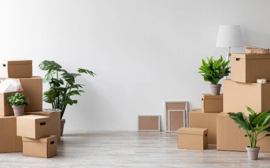 Kendi evine taşınmak, daire kiralamak, yeni bir ev almak ve emlak hakkında blog yazmak, fotokopi çekmek. Ev ilanı ve satış. Karton kutular içinde eşyalar, saksıdaki bitkiler boş odada gri duvardaki düz arka plan